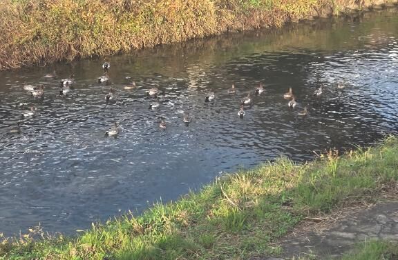 出勤します&#9825;&#9825;&#9825;