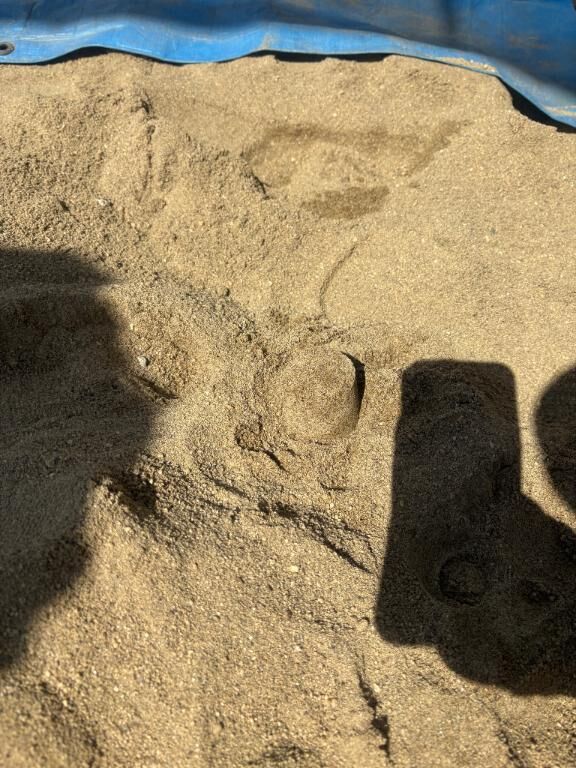 おはようございます&#9825; &#9825; &#9825;&#9825;