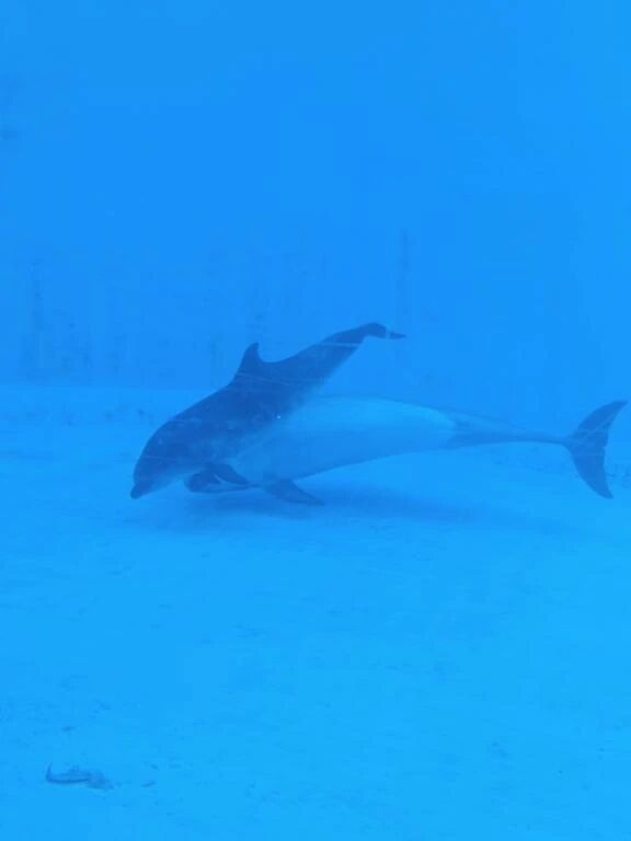 おはようございます😋