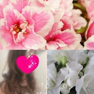 おはようございます♪