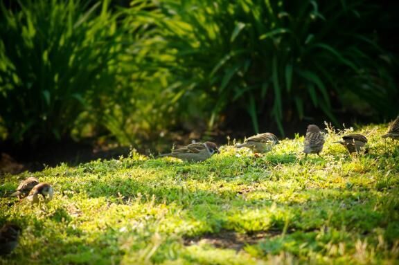 土曜日&#x301C;改訂版