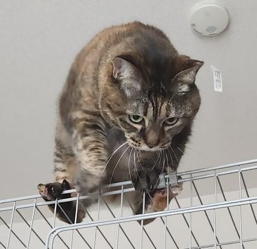 [お題]from:怖いんだけどさん