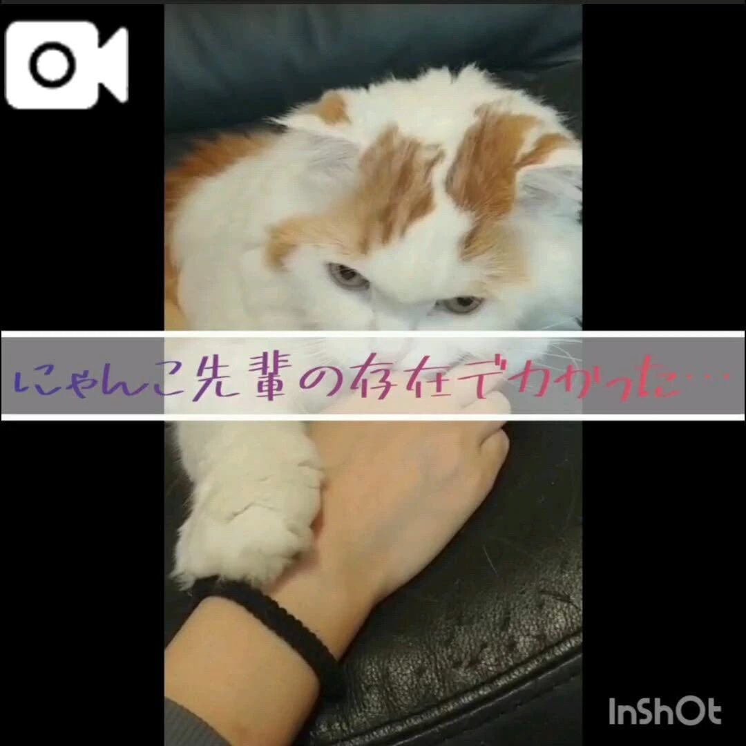 【動画&#9654;】悲しい&#128549;