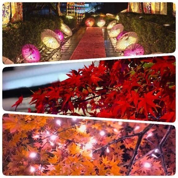 紅葉は見頃&#9825;