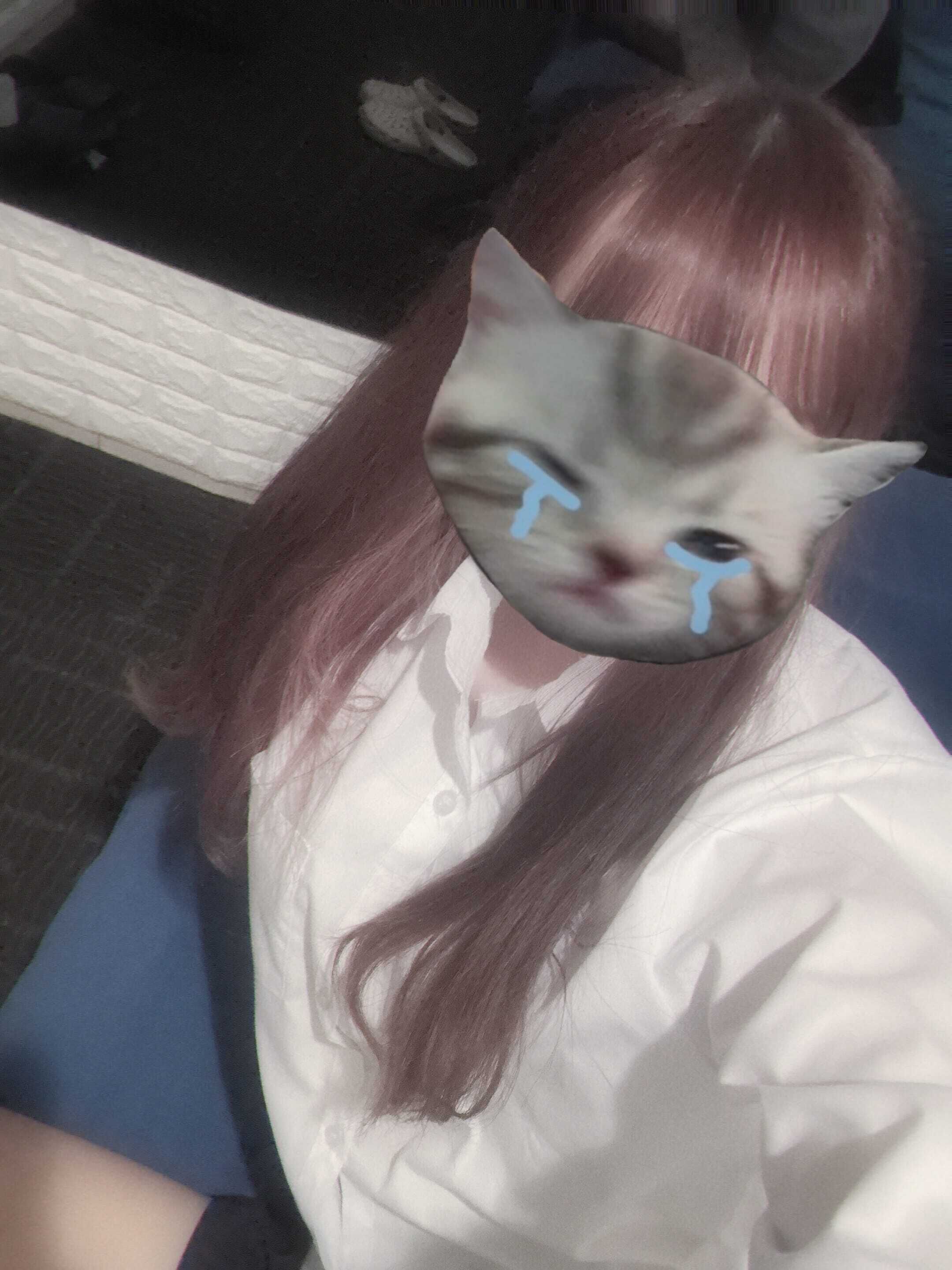 います(∩´∀`∩)