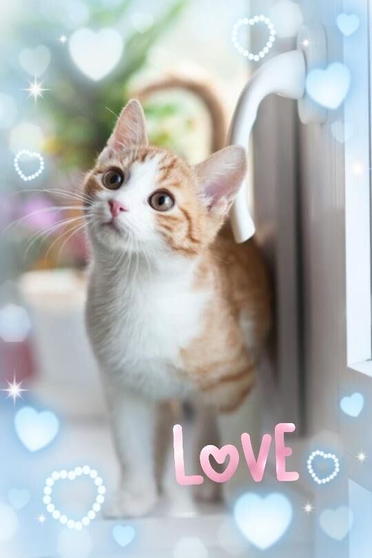 [お題]from:怖いんだけどさん