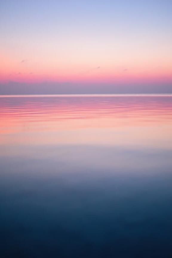 予告&zwj;↕️﫶