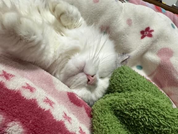 今日もお疲れ様でした&#9825;