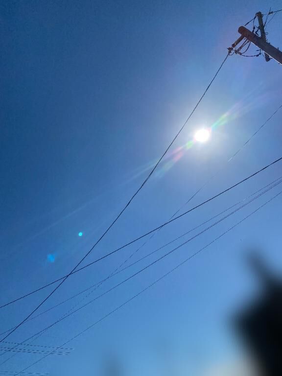 おはようございます