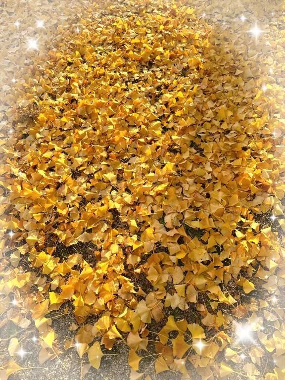 おはよう&#9825;&#9825;