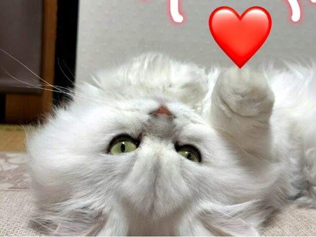 本日　出勤します