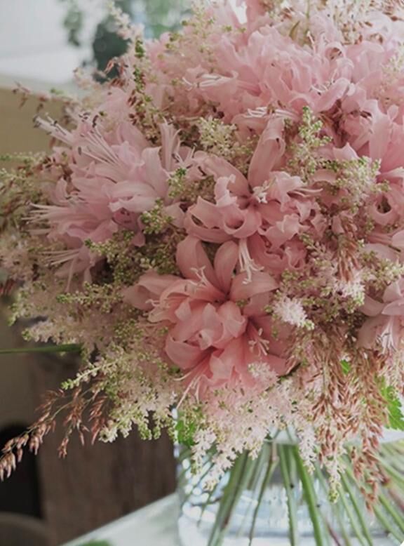 [お題]from:アヒルさん