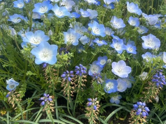 ごめんなさい&zwj;♀