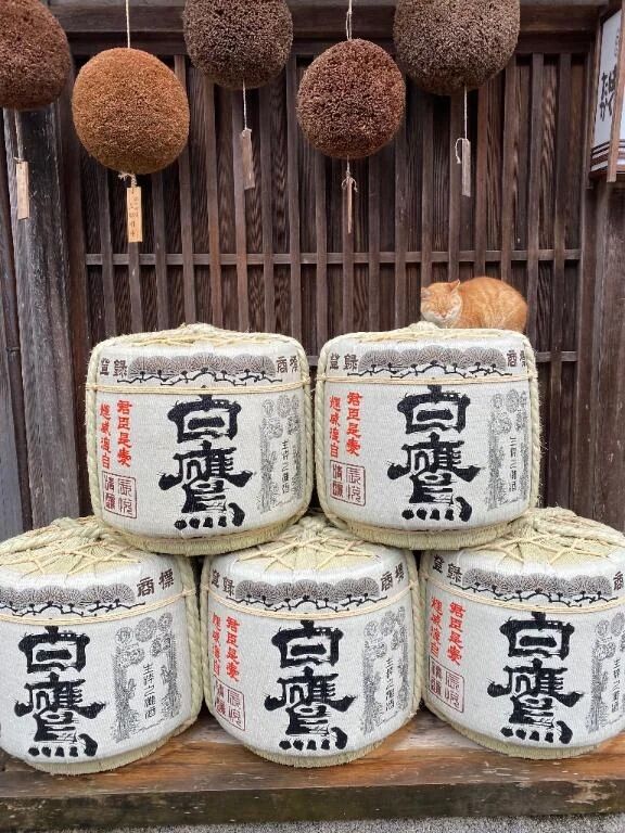 &#128583;&zwj;♀&#65039;&#128583;&zwj;♀&#65039;&#128583;&zwj;♀&#65039;&#128522;