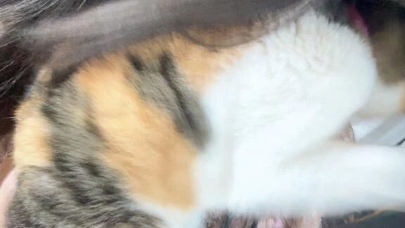 会いたいなぁ&#128151;