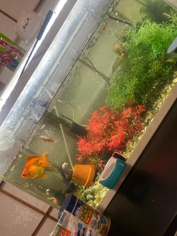 お魚コーナーはこちらです&#9825;