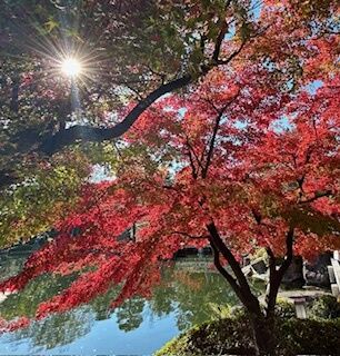 ありがとうございました