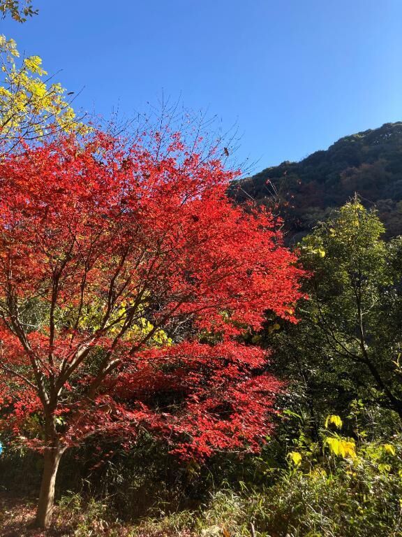 いい天気でした♡♡