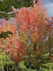 ありがとうございました