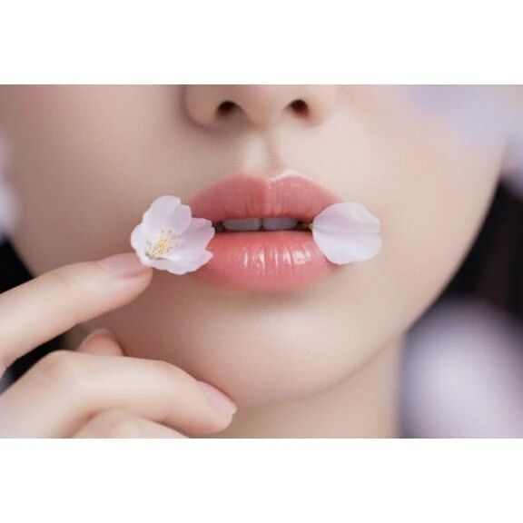 出勤しました(∩´ω`∩)