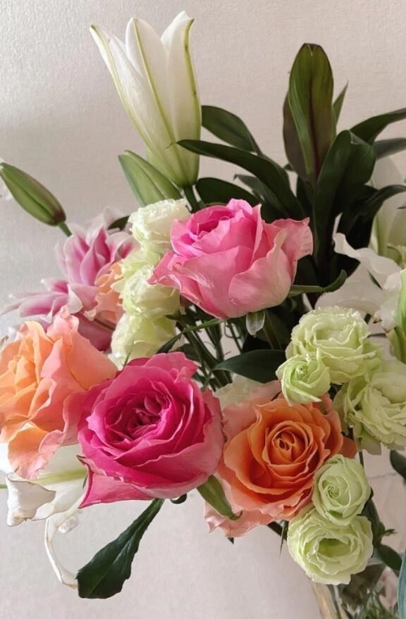 ヾ(･ω･｀)ﾉ　ﾊﾛｰ♪