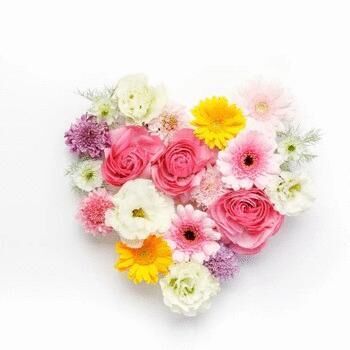 おはようございます