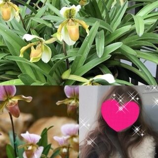 おはようございます♪