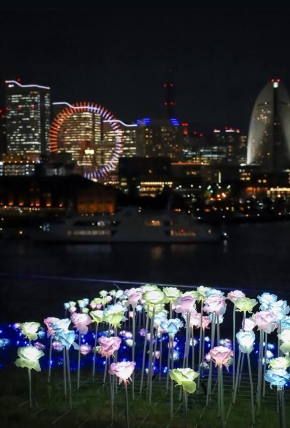 &#9825;&#9825;　みたよ　&#9825;&#9825;