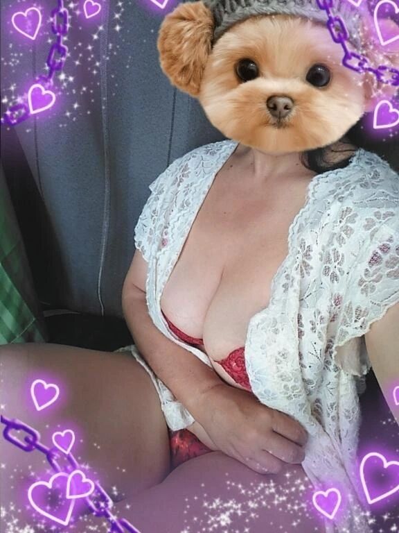 遊びに来ませんか