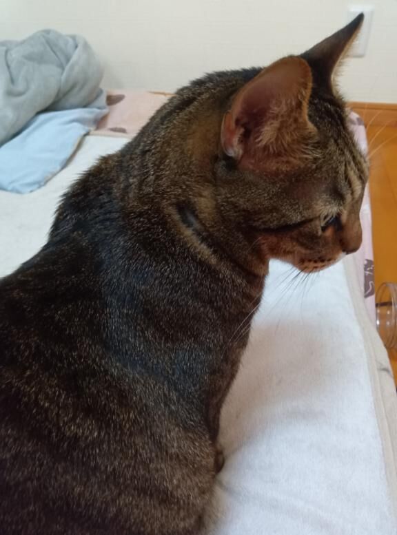 おはようございます