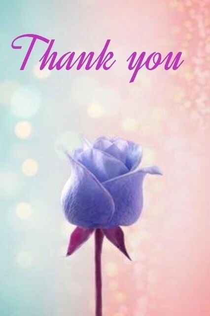 昨日16時&#x301C;のお礼です♪