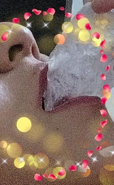 魅惑の妄想、甘い誘惑