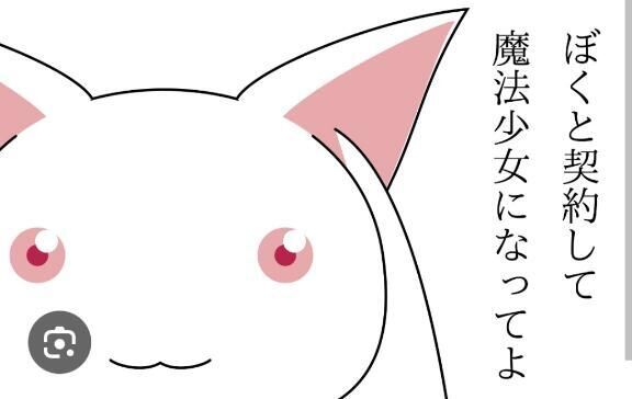 日曜はまどマギ！！！！