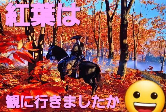 秋の紅葉♡11月30日(日)観に行きましたか？さて！夜は♡♡夜は♡♡夜は♡♡夜は♡♡夜は♡♡夜は♡♡夜は♡♡夜は♡♡夜は♡♡夜は♡♡夜は♡♡ANNEX店にいこう！今夜は♡