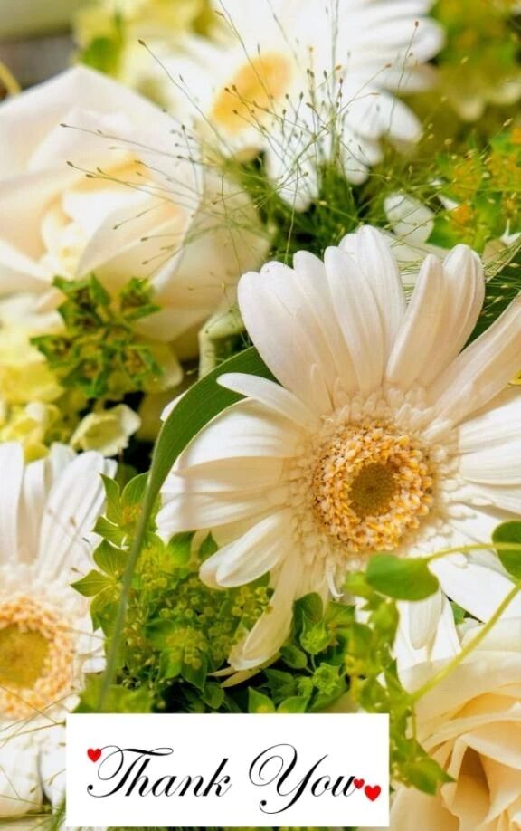 ✨21日みたよ♪の女の子会員の皆様✨