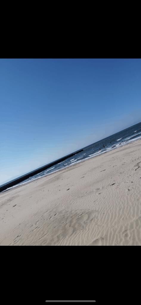 おさんぽ&#9825;&#9825;&#9825;&#9825;(&#9825; &#9825;&#9825;&#9825; )&#9825;