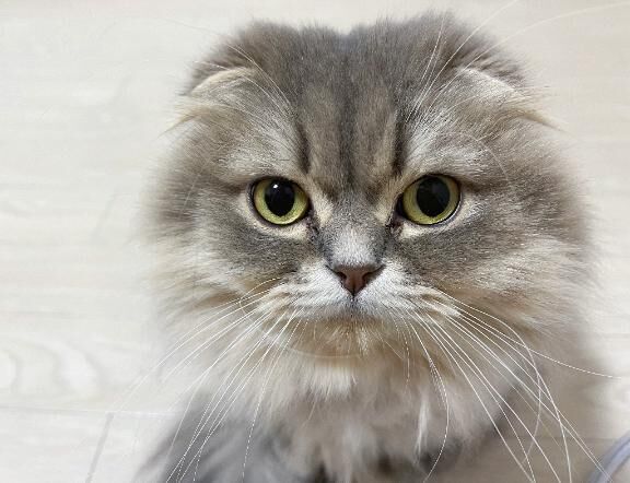 &#9825;すみません&#9825;