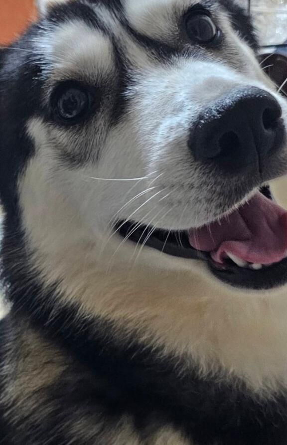 ありがとうございました♡