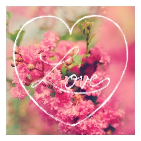 11/24♪ありがとう