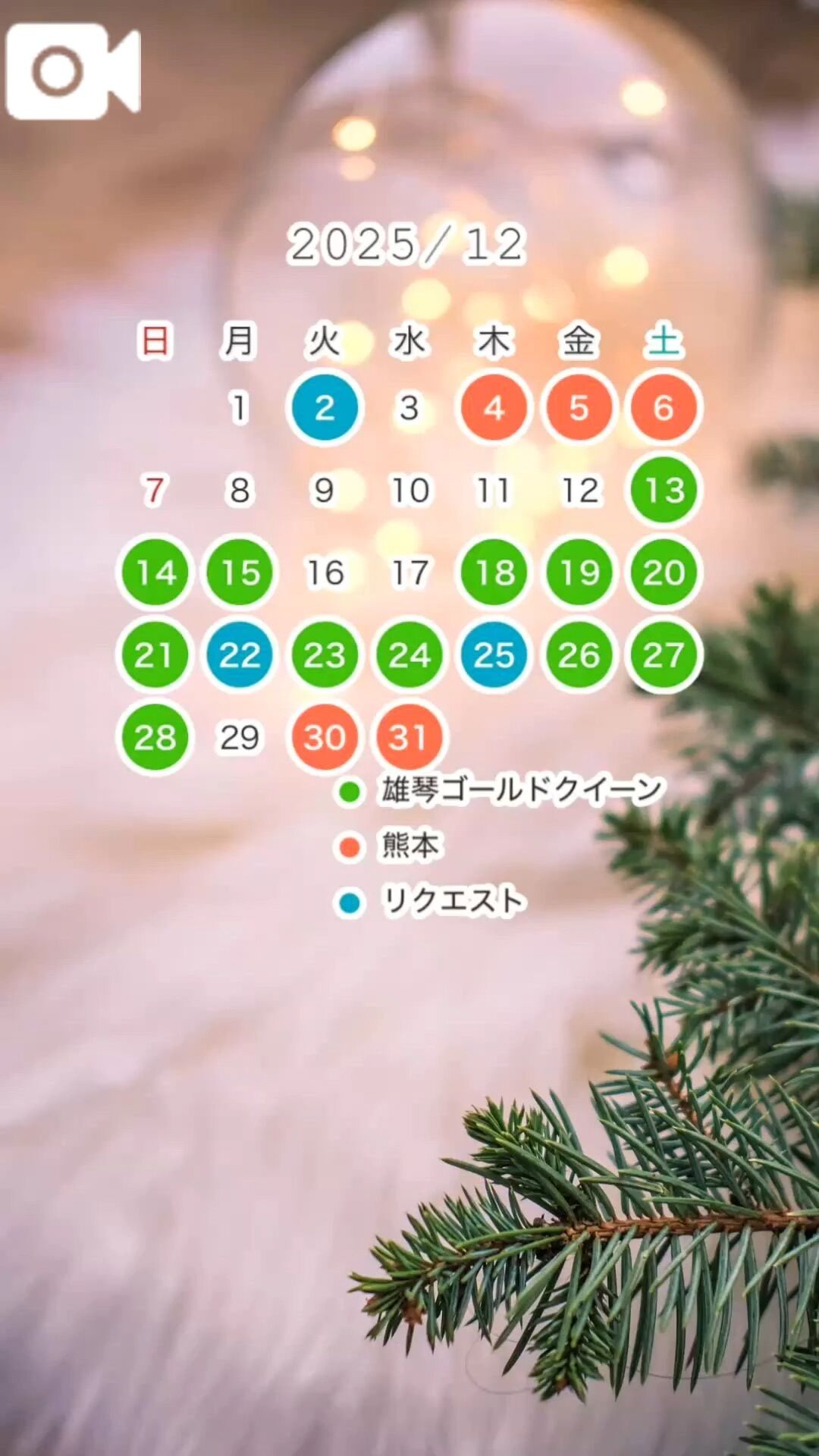 &#128205;【12月の出勤予定】&#9924;&#65039;&#10052;&#65039;