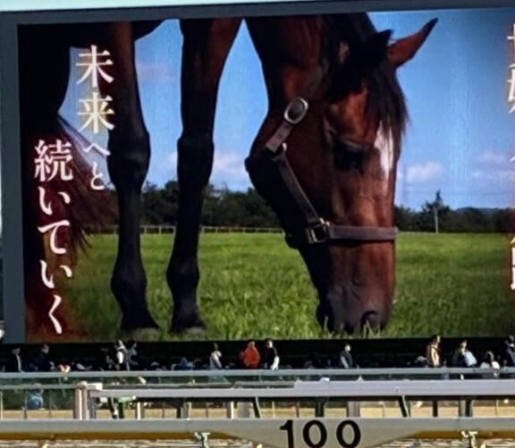 [お題]from:キキさん