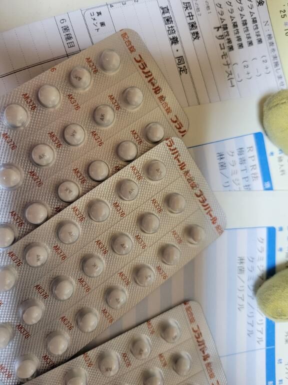 今日はお休みです