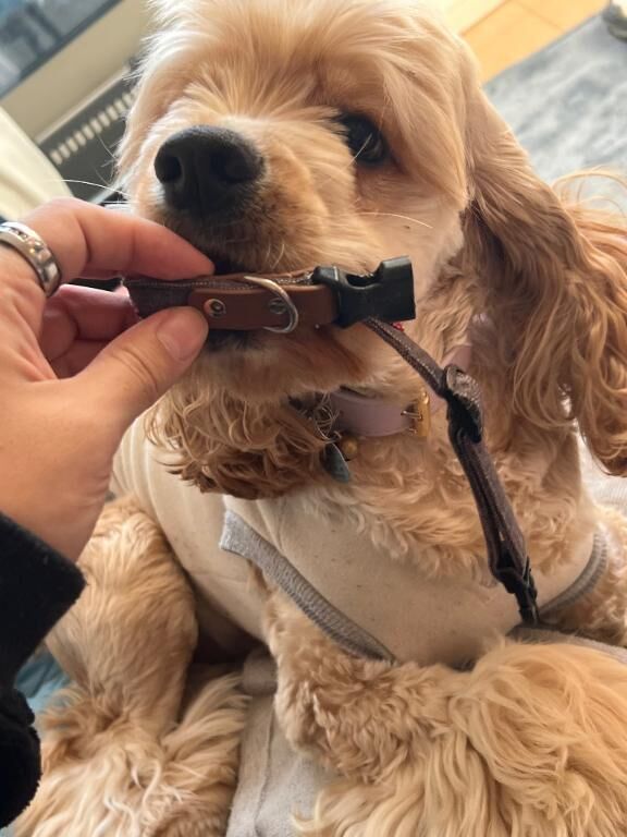 出勤準備しよーっと