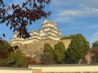 今月は2回出勤予定です