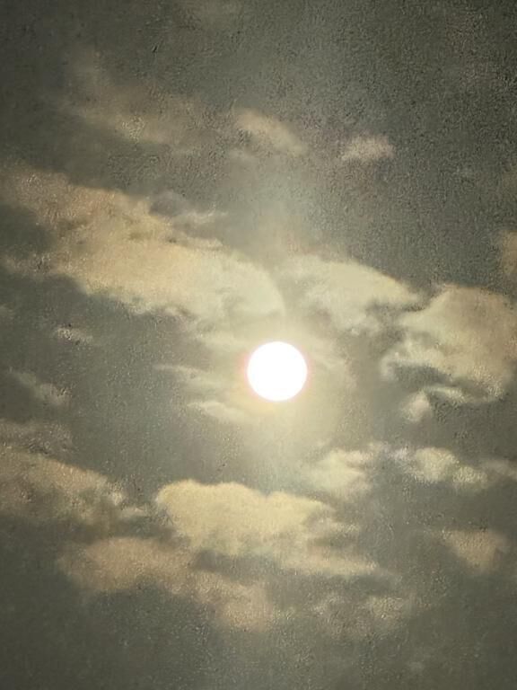 ご予約ありがとうございます&#128522;