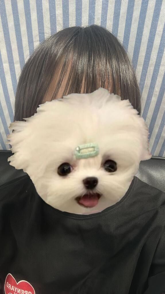 退勤してます！