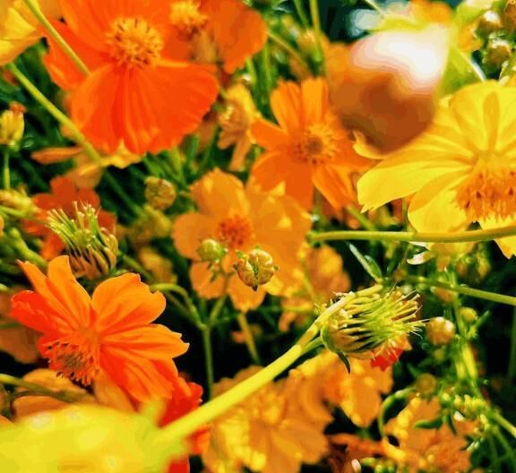 先日のお礼です&#9825;