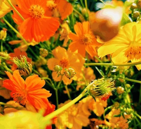 先日のお礼です&#9825;