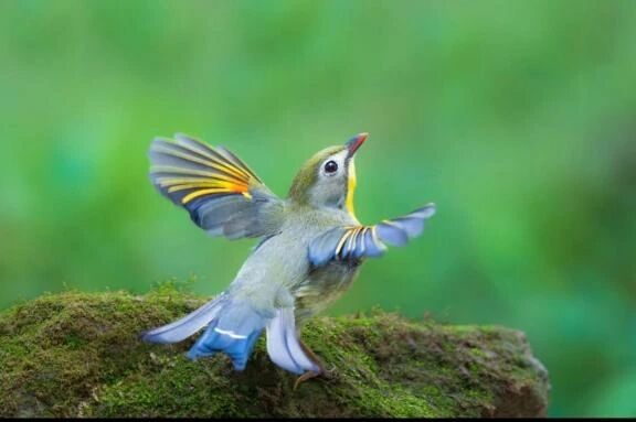 おはようございます...