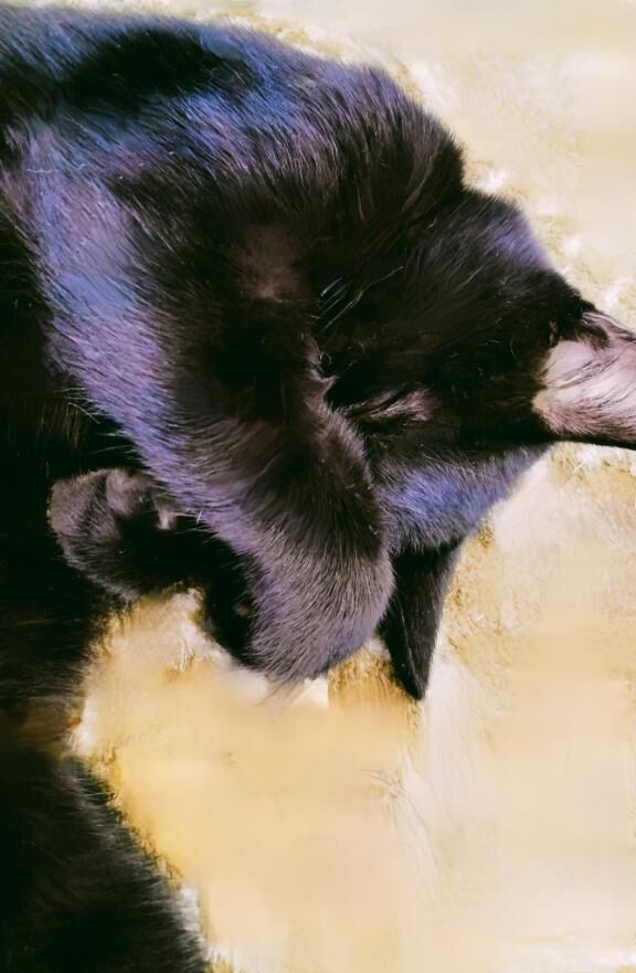 ♡♡♡♡♡♡♡ ♡♡♡♡